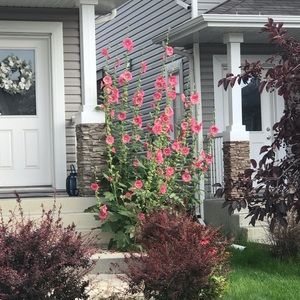 Meet your Posher, Kendall